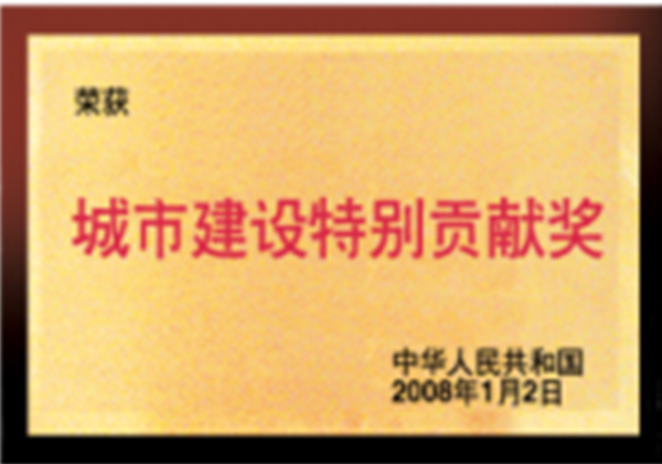 城市建设特别贡献奖