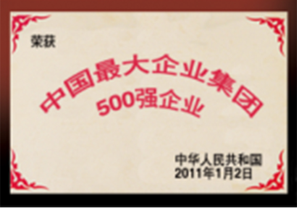 企业集团500强企业